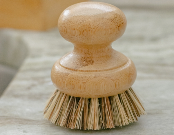 Casa Agave® Pot Scrubber Brush