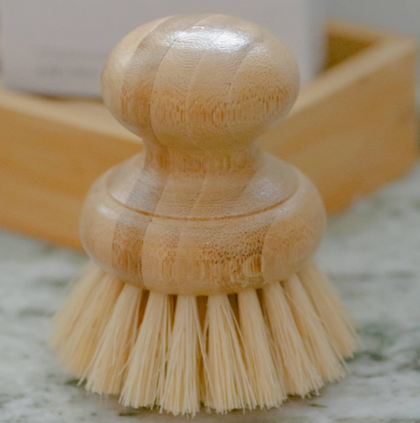 Casa Agave® Dish Washing Brush