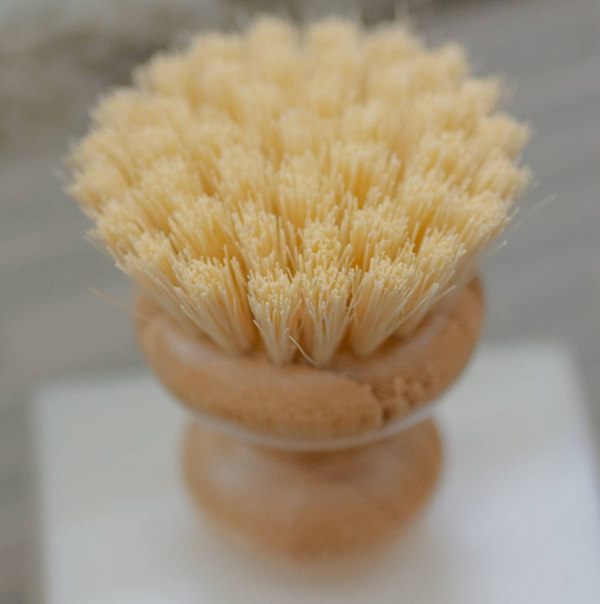 Casa Agave® Dish Washing Brush