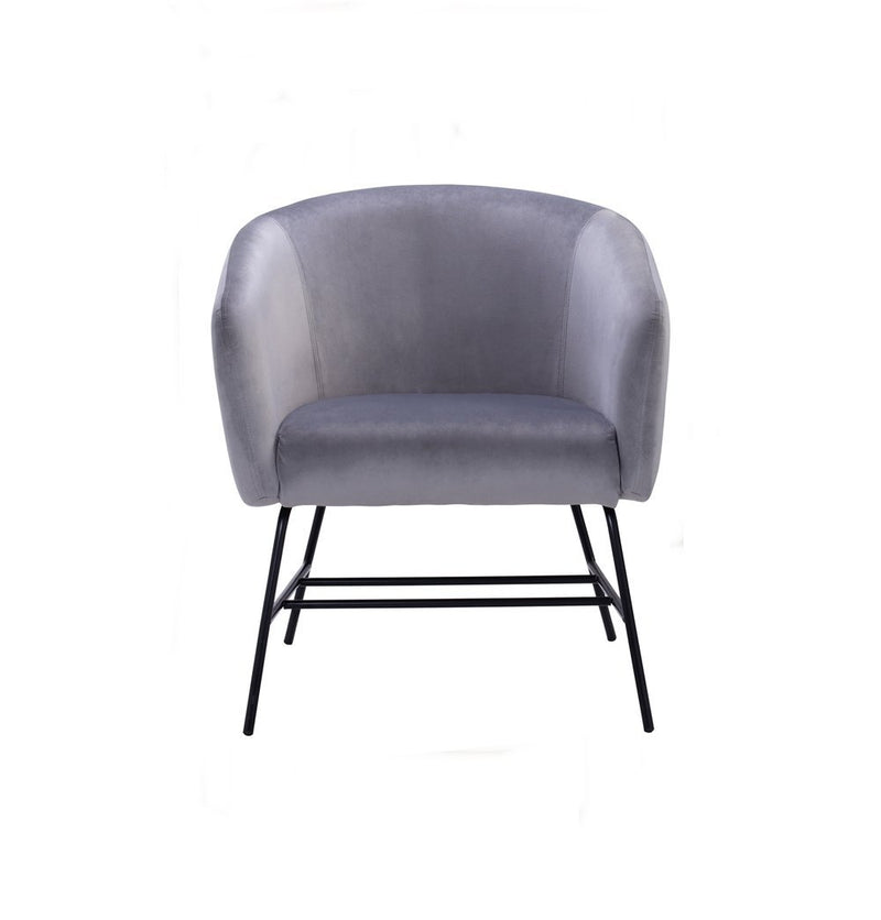 Galen Lounge Chair - Ash Grey Velvet
