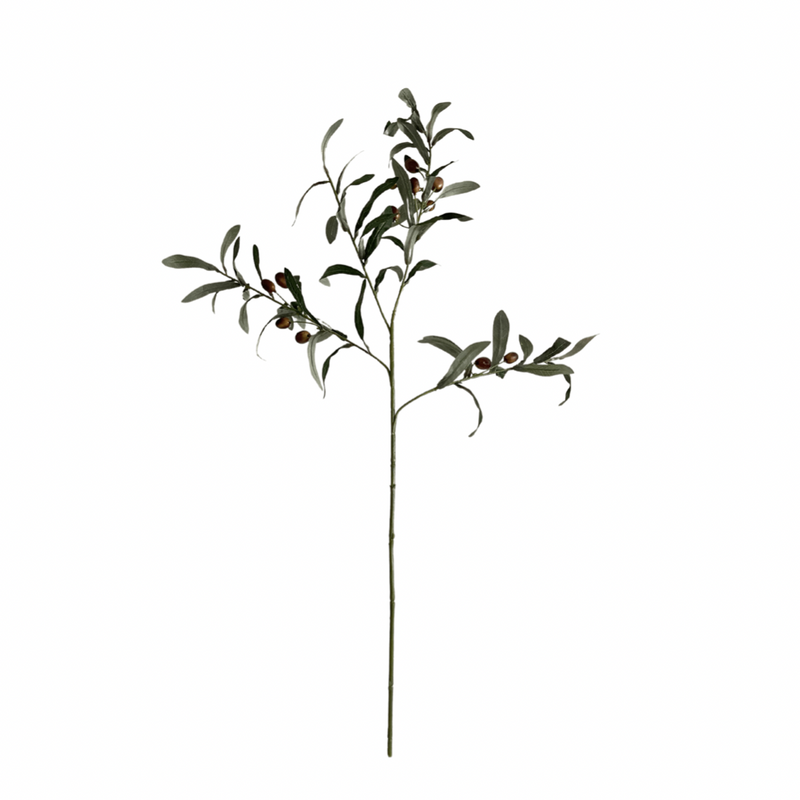 Olive branch (faux) – Indie Home Shop