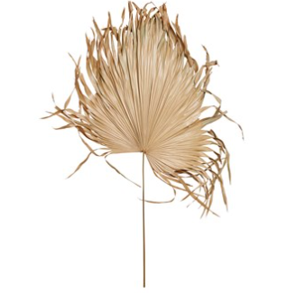 Palm Leaf Anaheim LARGE